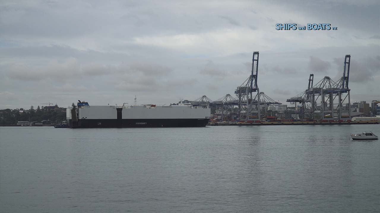 Viking Paglia